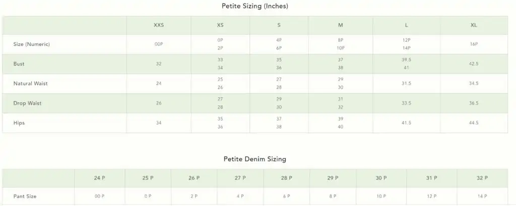 Ann taylor 2024 dress size chart