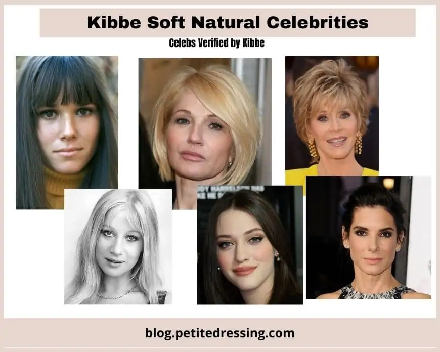 kibbe soft natural body type feature