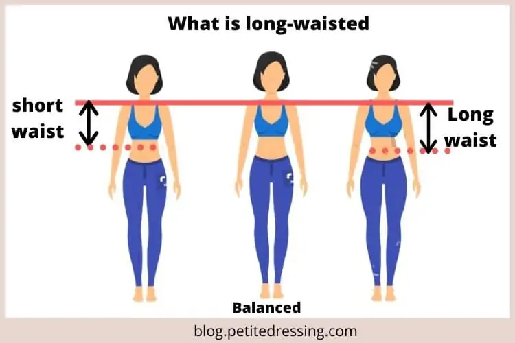 How to Dress if you have a Long Waist: A Comprehensive Guide - Petite  Dressing