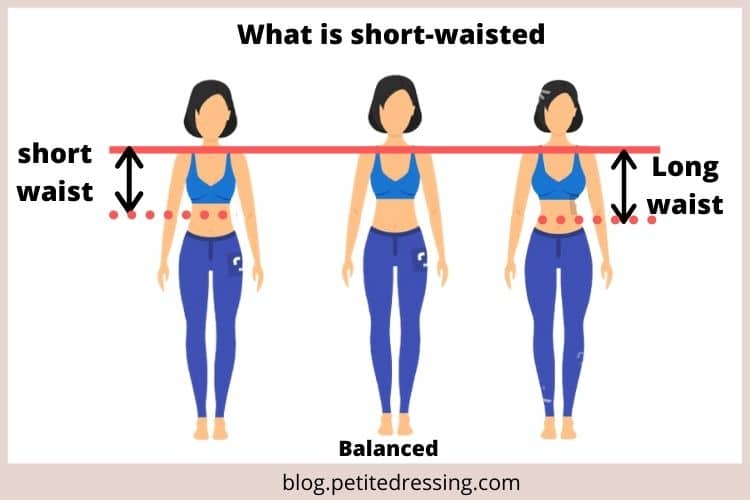 best dress style for short waisted