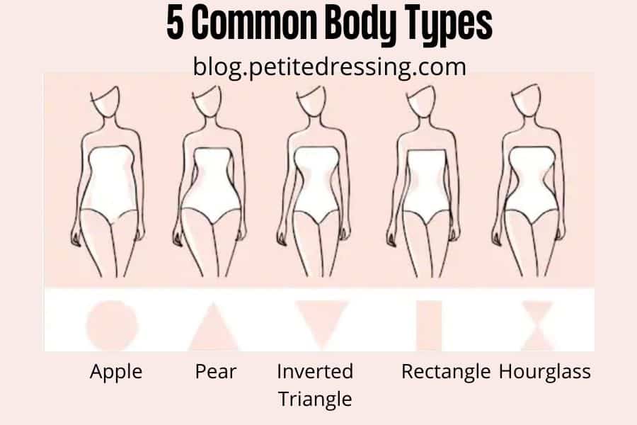 what are women's body types