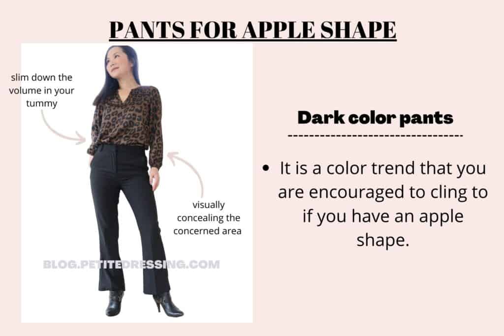 PANTS FOR APPLE -DARK COLORED PANTS