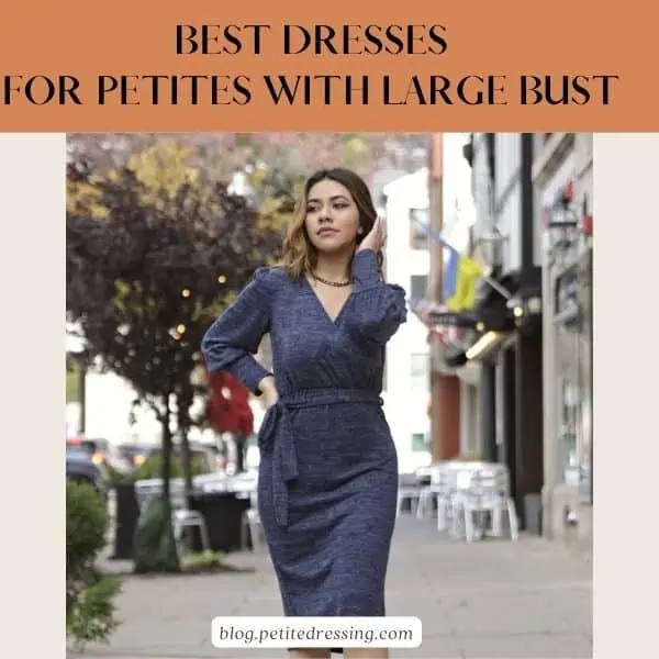 BEST DRESSES FOR PETITES WITH LARGE BUST