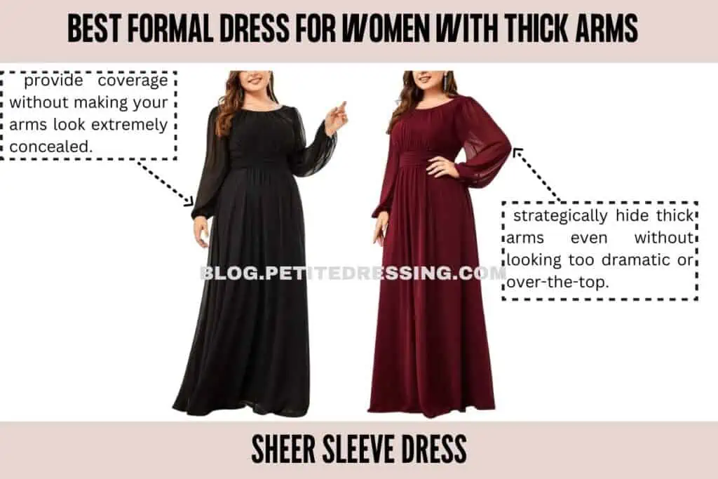 Sheer Sleeve Dress