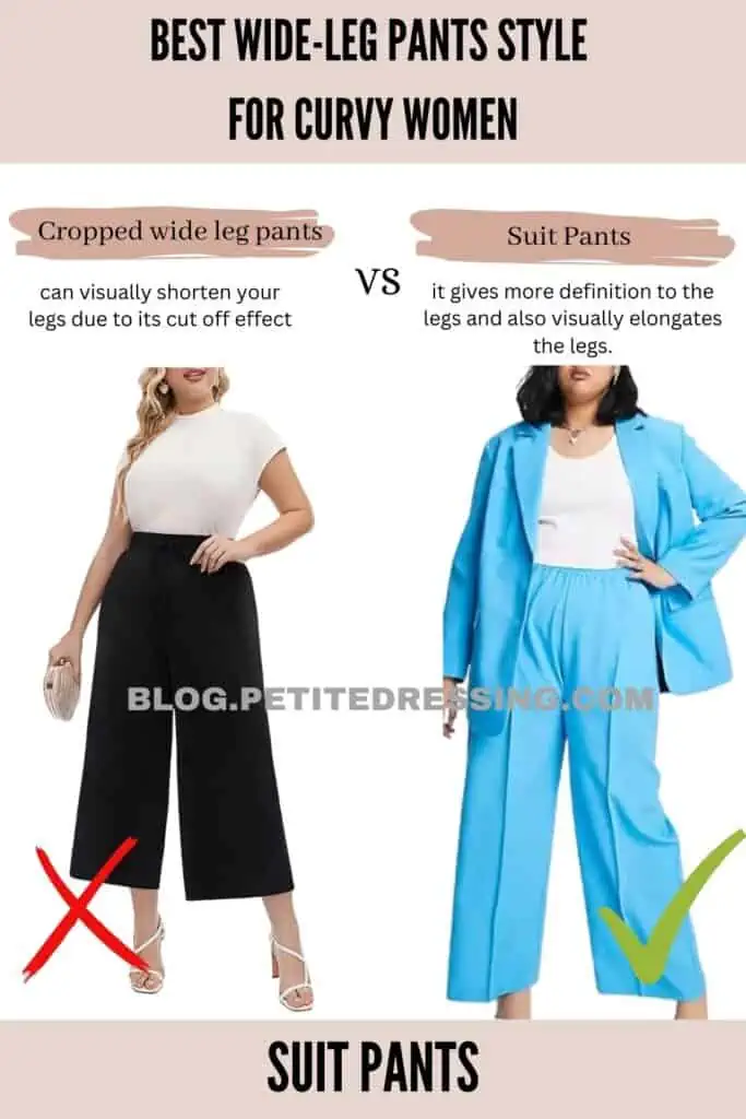 Wide-Leg Pants Style Guide for Curvy Women - Petite Dressing