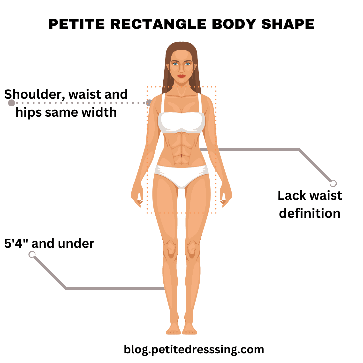 Rectangle Body Type - Petite Dressing
